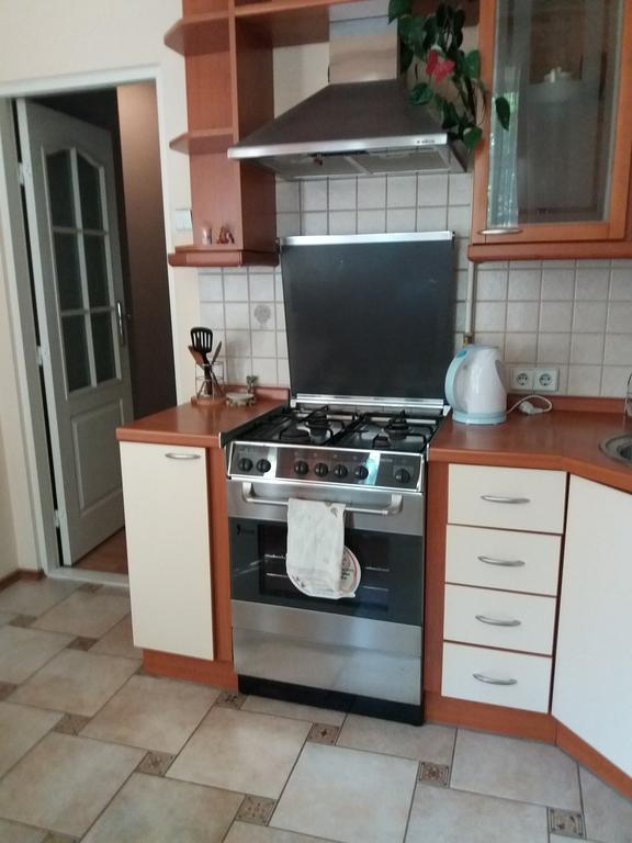 Apartment U Lidii In Center Of Kiev Near Railways Station Buitenkant foto